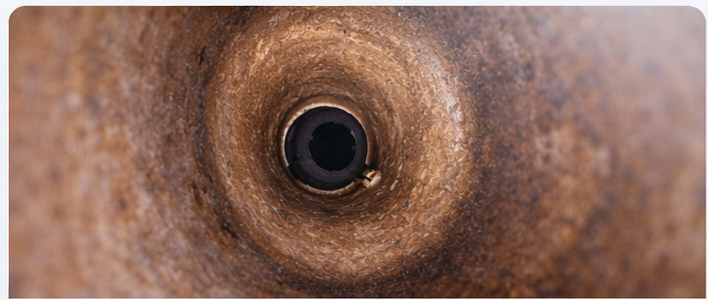 Sewer camera inspection video still