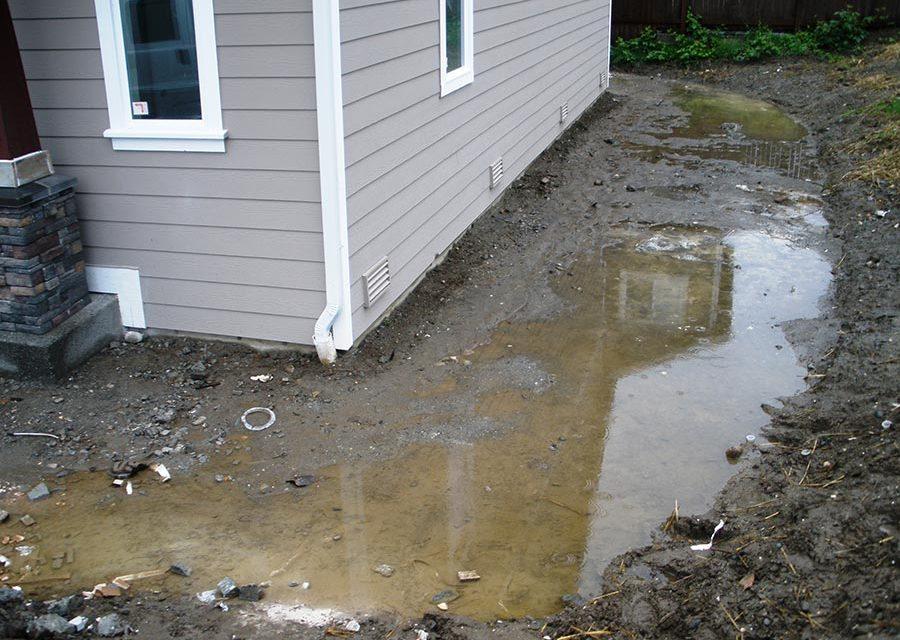 Basement area where sewer odor and moisture may point to a hidden drainage or sewer-line problem